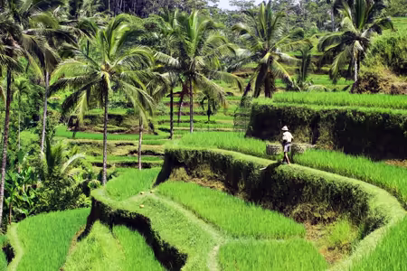 Ubud, Indonesia